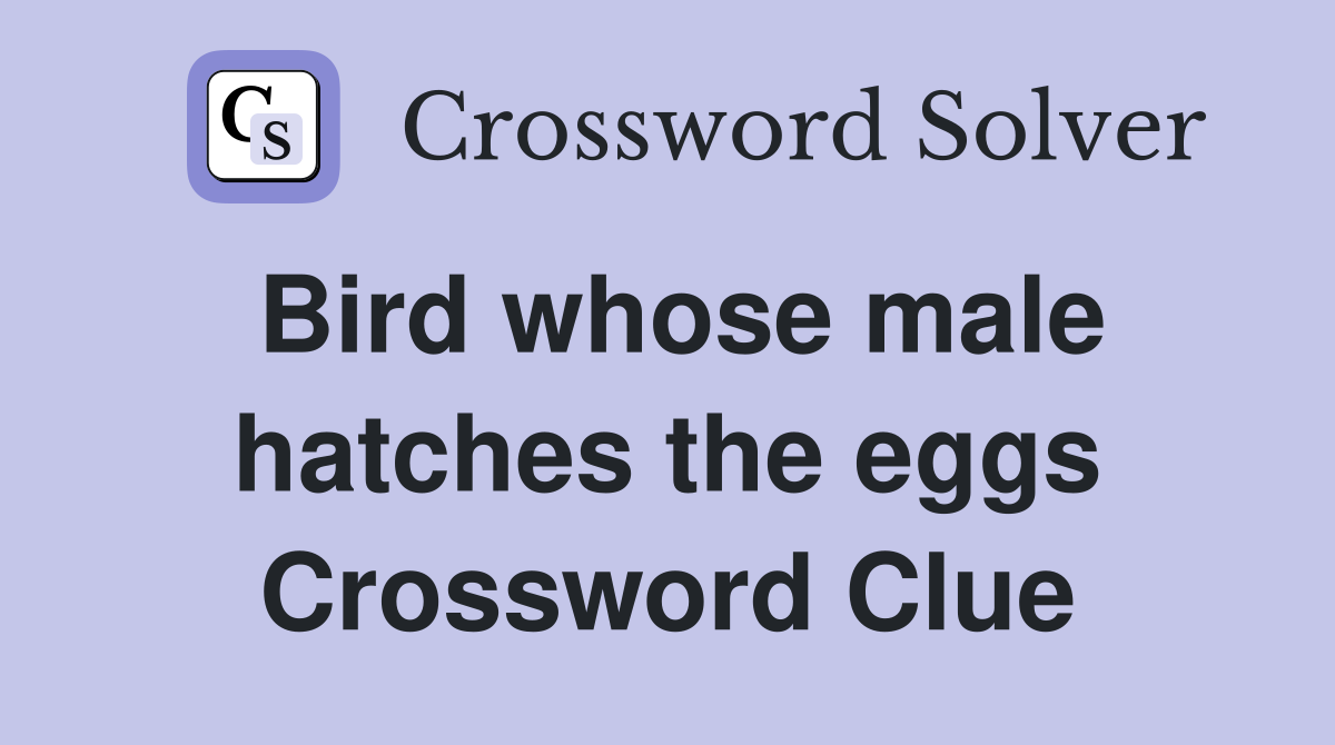 Bird whose male hatches the eggs Crossword Clue