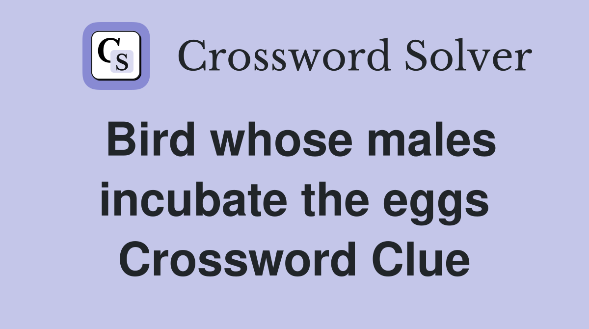 Bird whose males incubate the eggs Crossword Clue