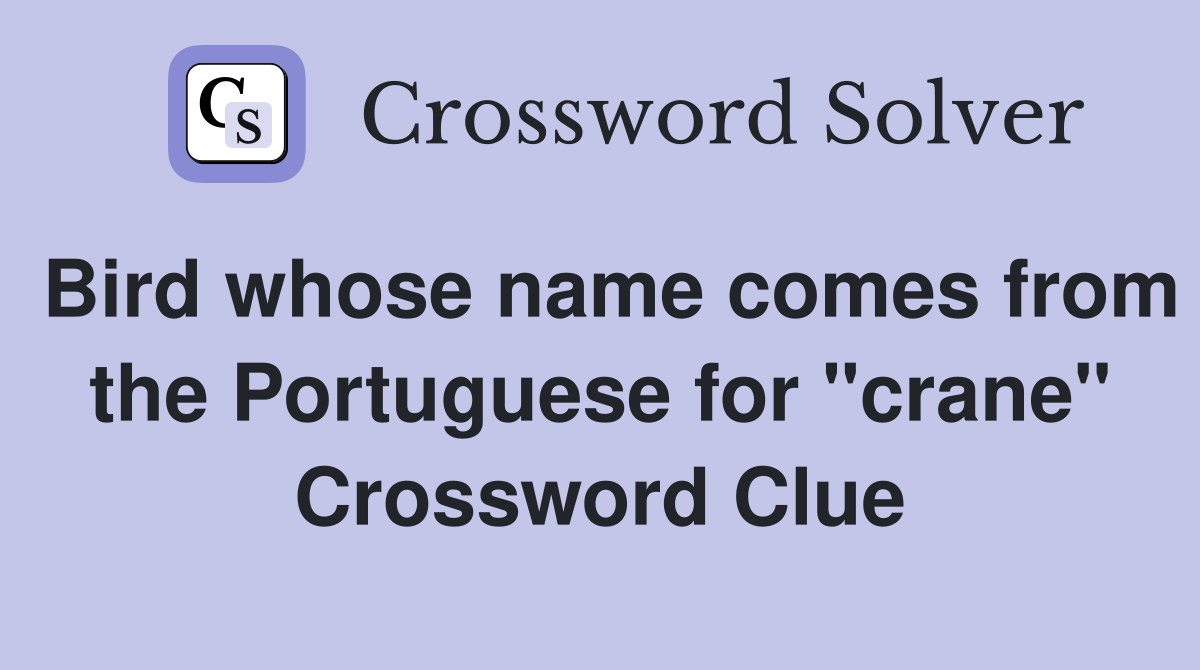 Bird whose name comes from the Portuguese for "crane" Crossword Clue