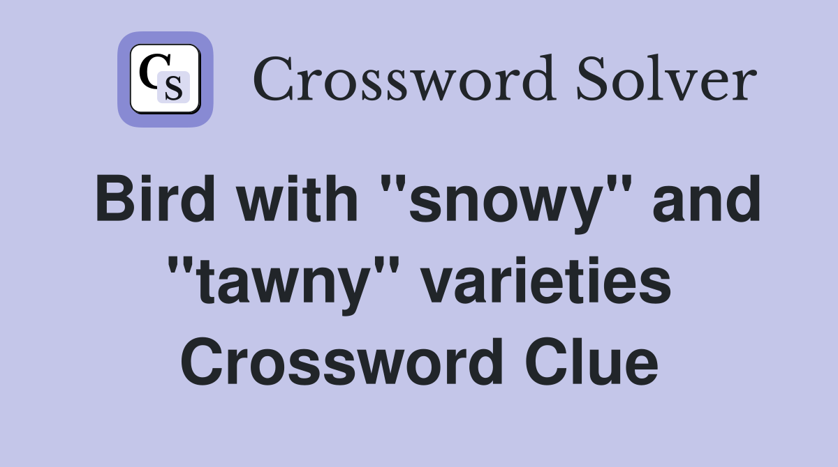 Bird with "snowy" and "tawny" varieties Crossword Clue