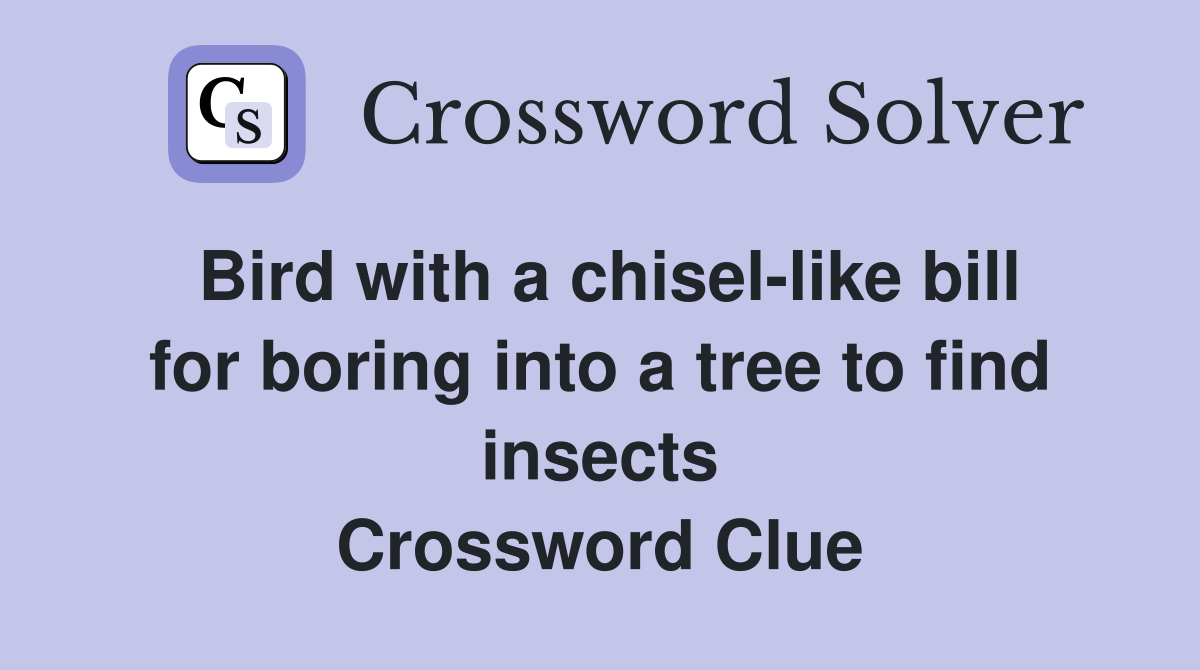 Bird with a chisel-like bill for boring into a tree to find insects Crossword Clue