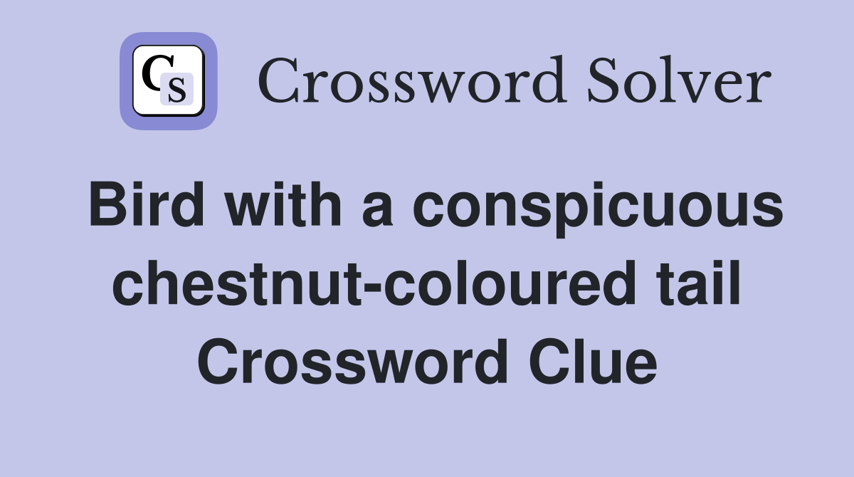 Bird with a conspicuous chestnut-coloured tail Crossword Clue