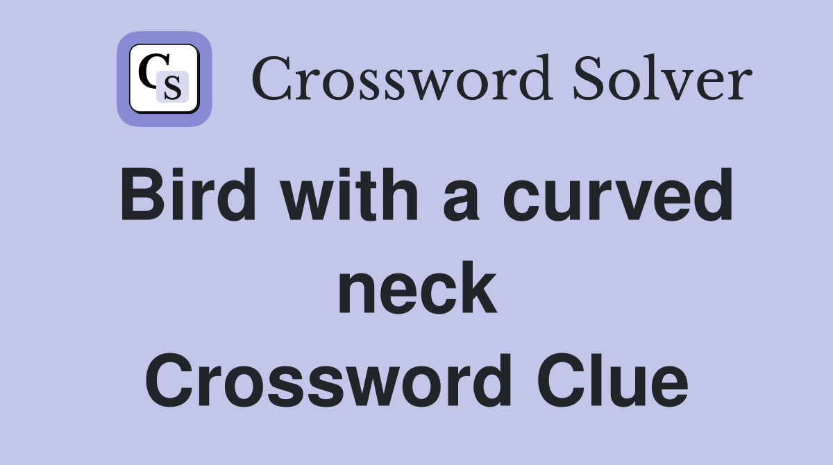 Bird with a curved neck Crossword Clue