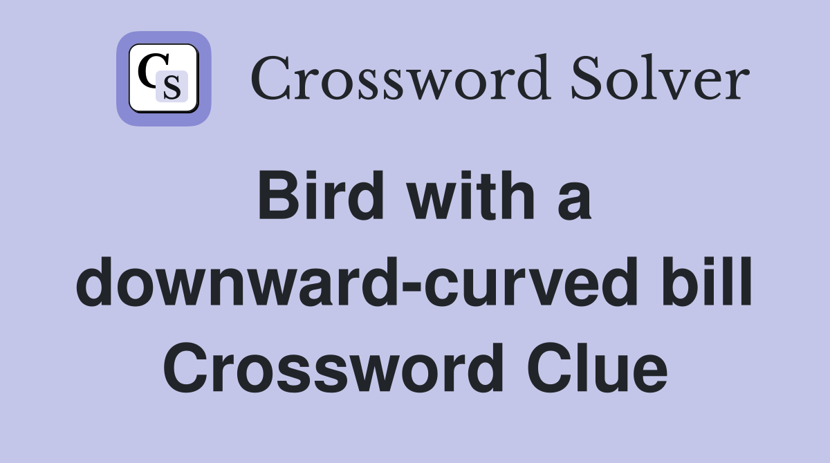 Bird with a downward-curved bill Crossword Clue