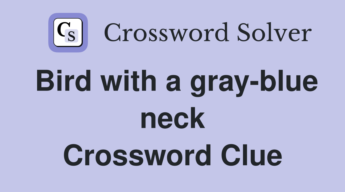 Bird with a gray-blue neck Crossword Clue