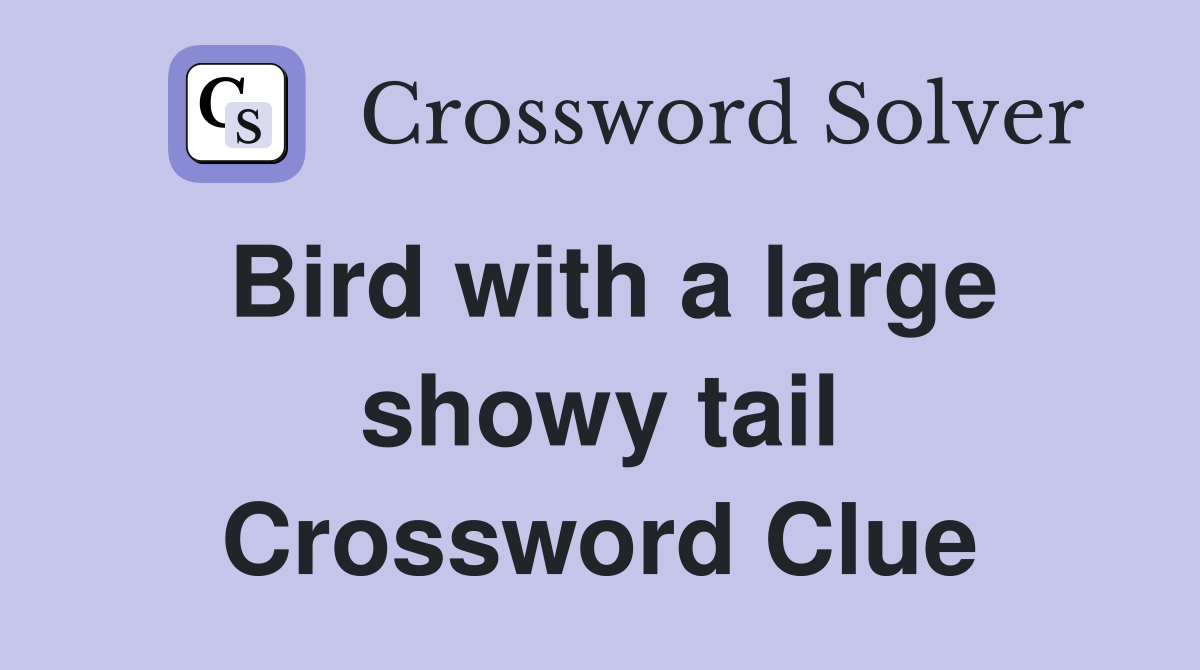 Bird with a large showy tail Crossword Clue