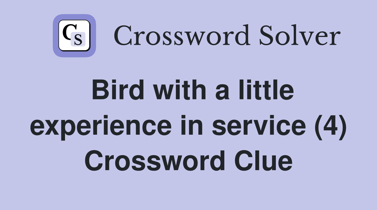 Bird with a little experience in service (4) Crossword Clue
