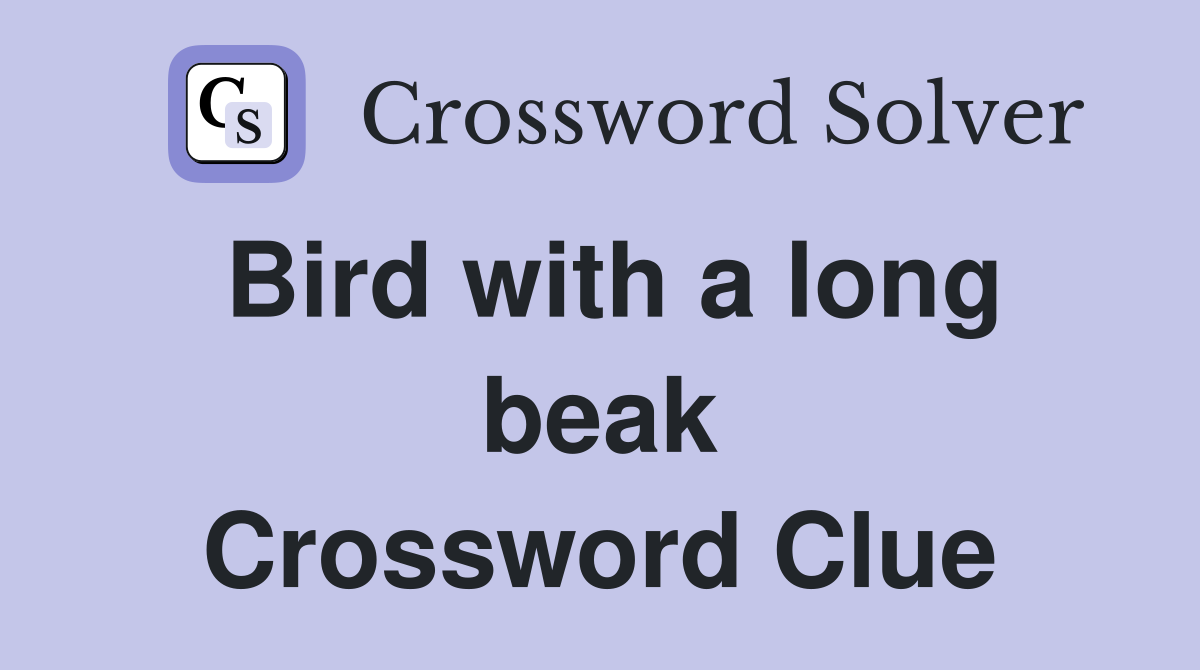 Bird with a long beak Crossword Clue