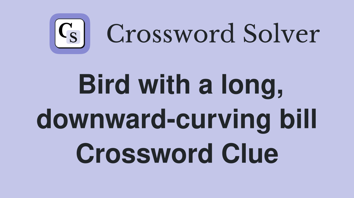 Bird with a long, downward-curving bill Crossword Clue