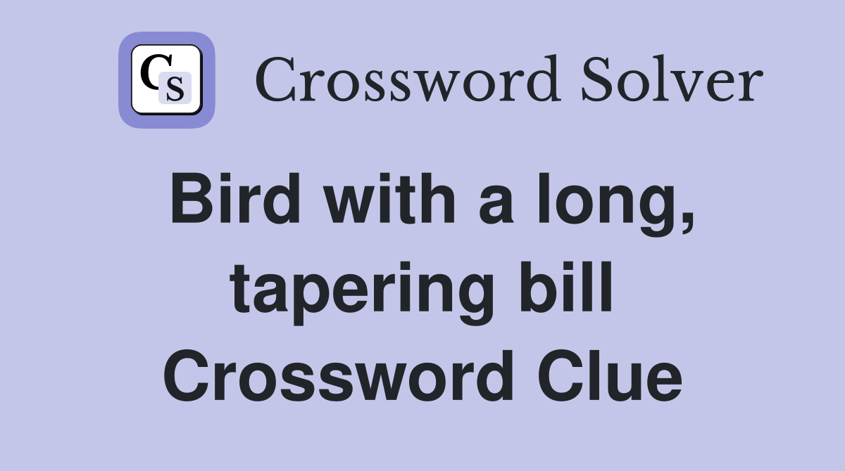 Bird with a long, tapering bill Crossword Clue