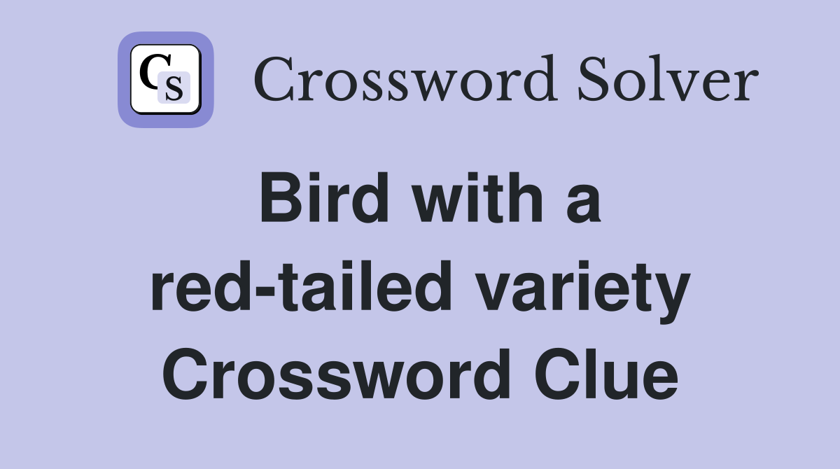 Bird with a red-tailed variety Crossword Clue