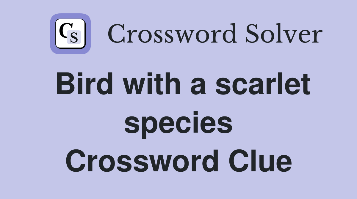 Bird with a scarlet species Crossword Clue