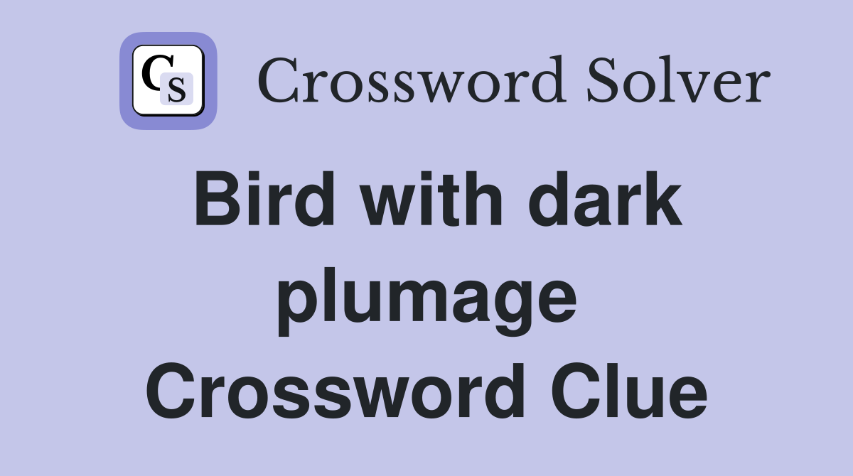Bird with dark plumage Crossword Clue