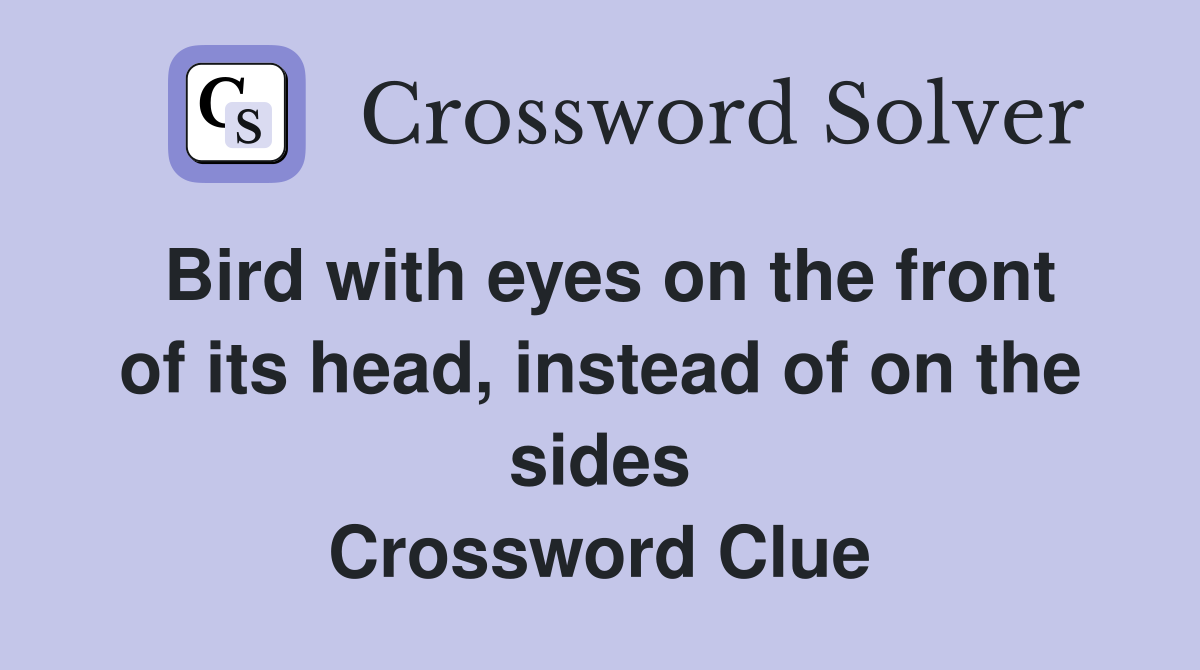 Bird with eyes on the front of its head, instead of on the sides Crossword Clue