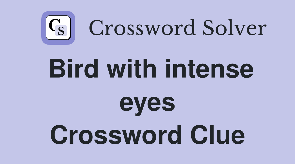 Bird with intense eyes Crossword Clue