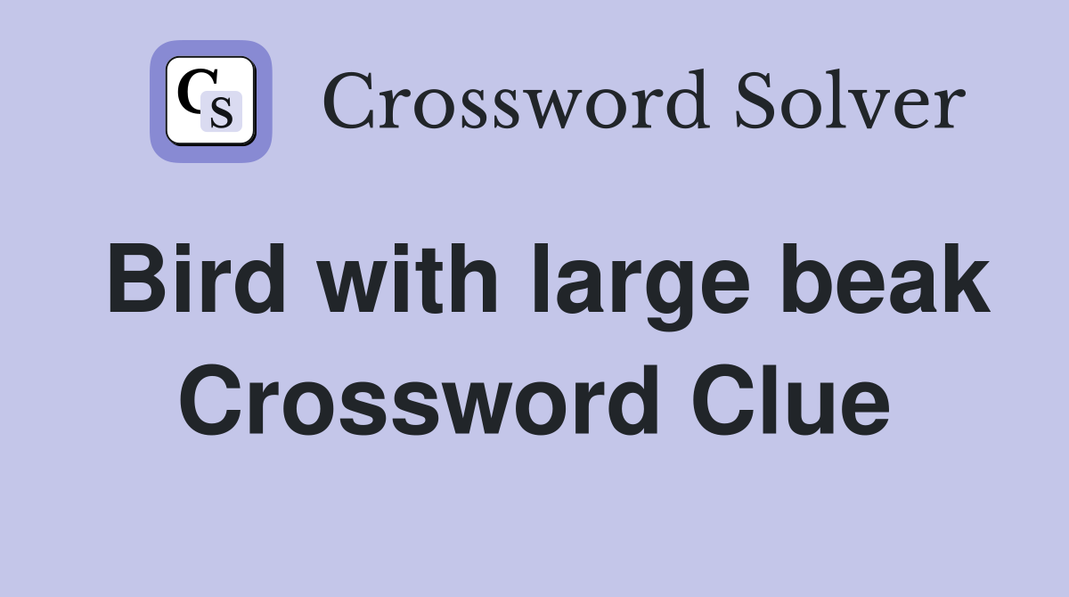 Bird with large beak Crossword Clue