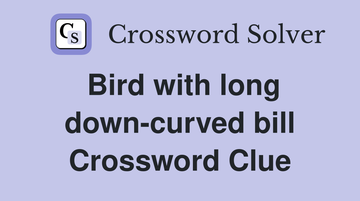 Bird with long down-curved bill Crossword Clue