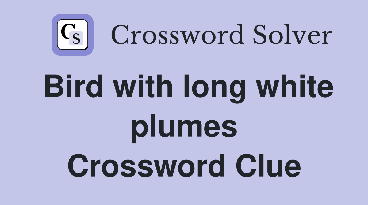 Bird with long white plumes Crossword Clue