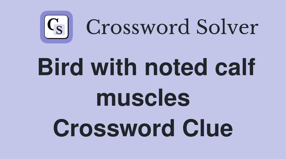 Bird with noted calf muscles Crossword Clue