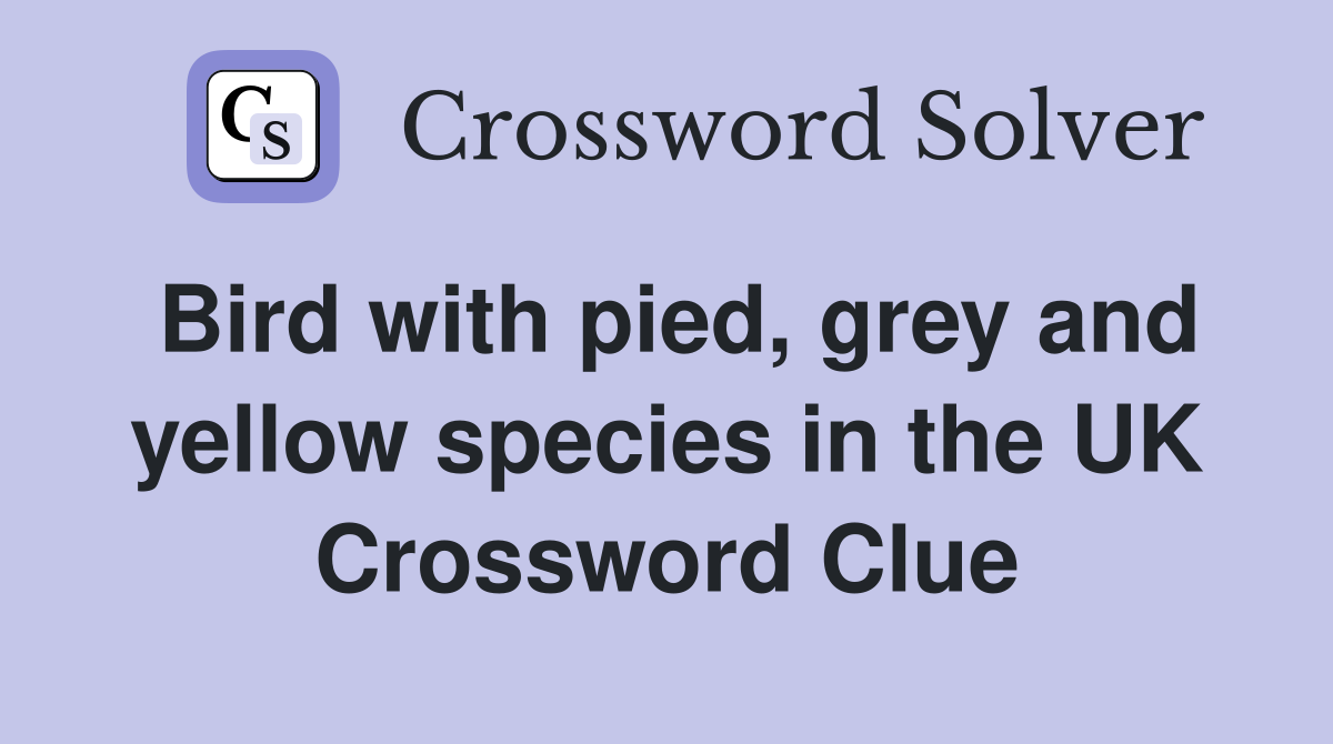 Bird with pied, grey and yellow species in the UK Crossword Clue
