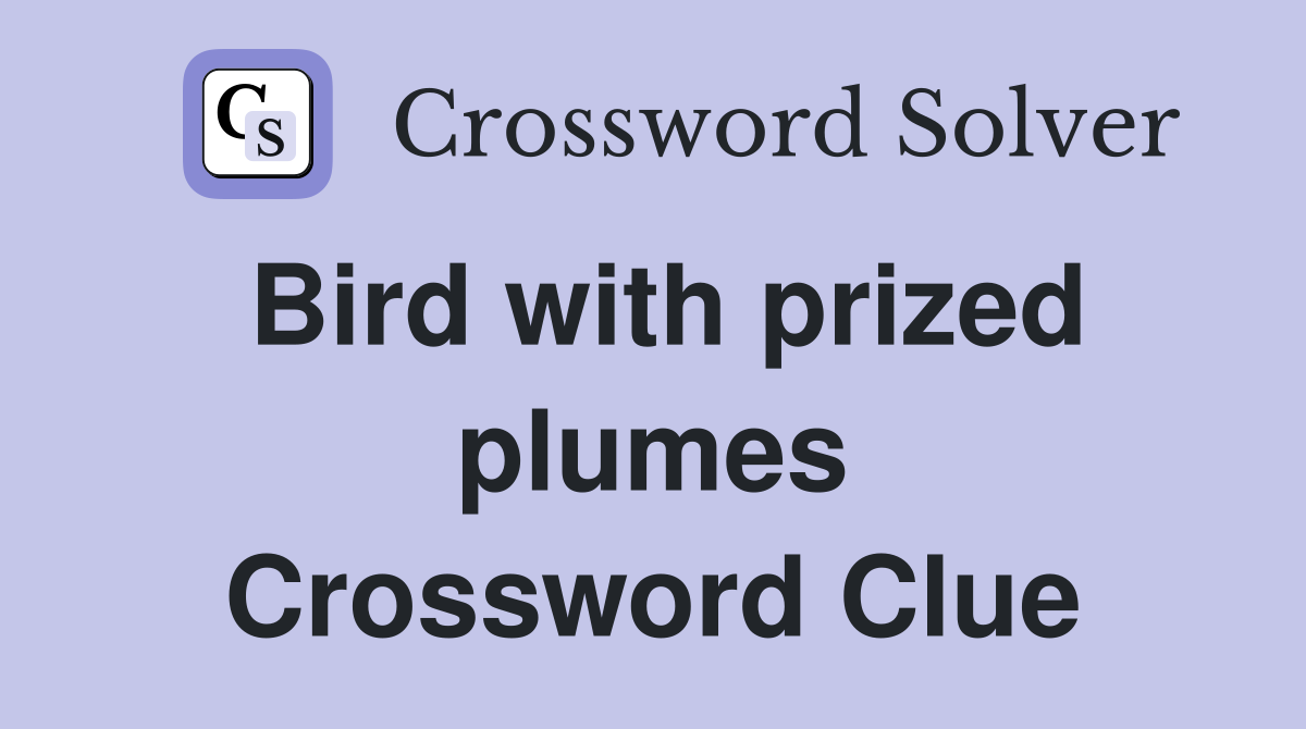 Bird with prized plumes Crossword Clue