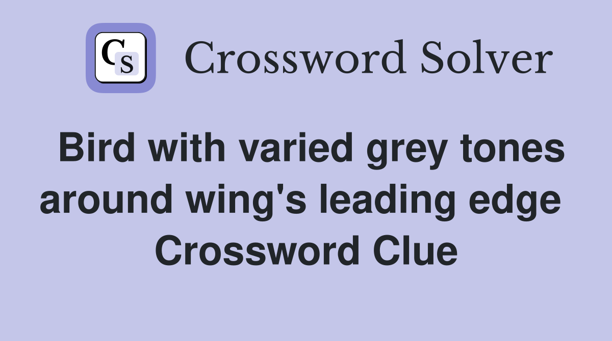 Bird with varied grey tones around wing's leading edge  Crossword Clue