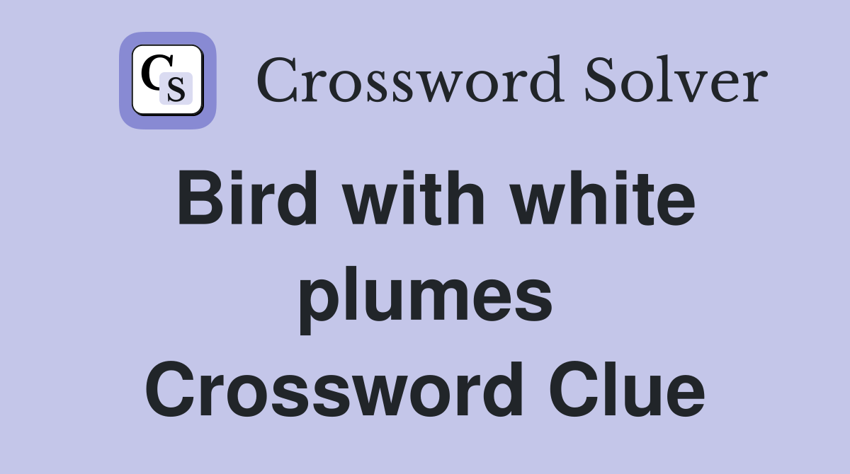 Bird with white plumes Crossword Clue