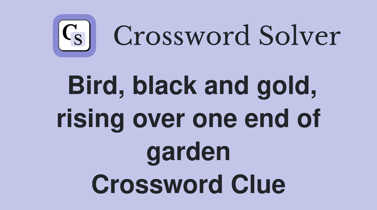 Bird, black and gold, rising over one end of garden Crossword Clue