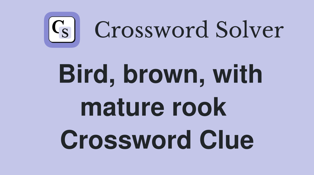 Bird, brown, with mature rook  Crossword Clue