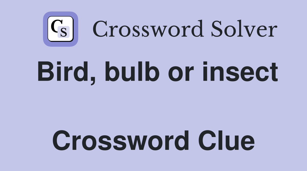 Bird, bulb or insect  Crossword Clue
