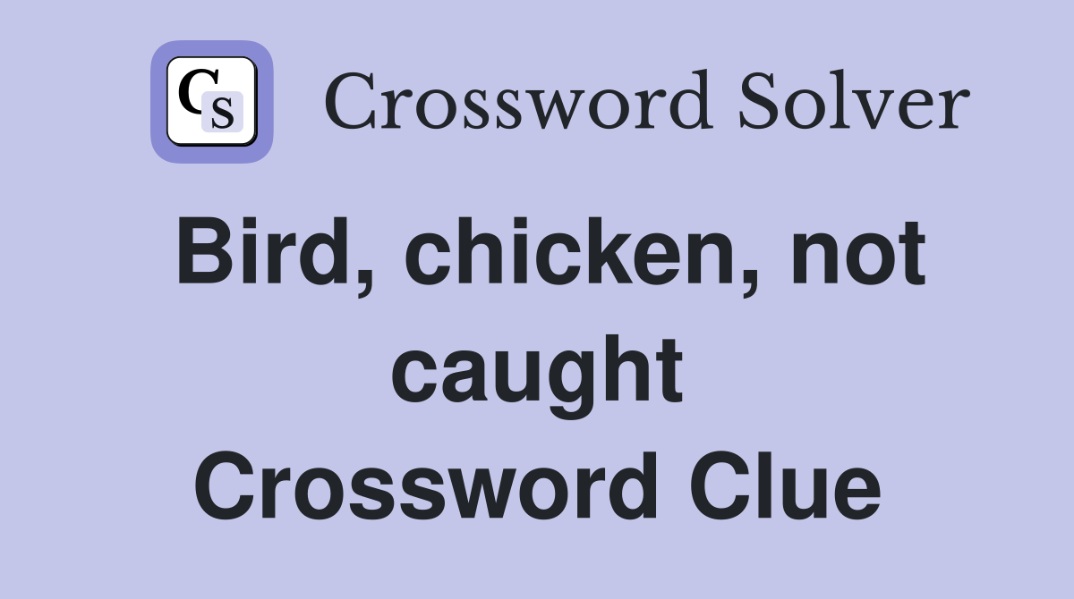 Bird, chicken, not caught Crossword Clue