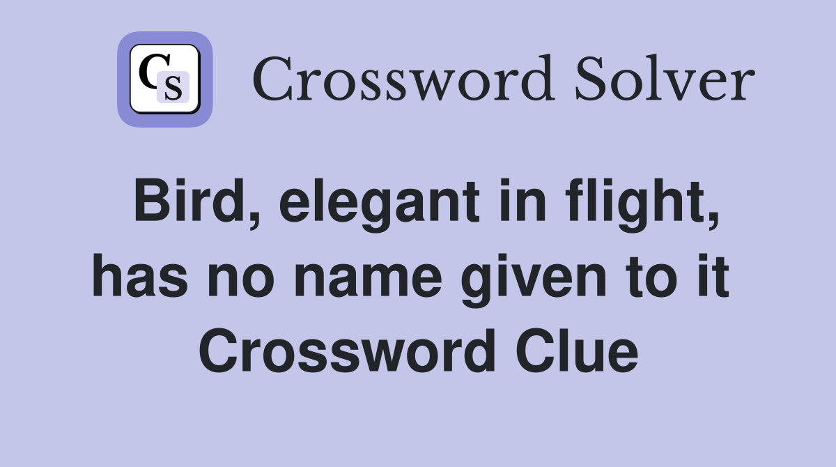 Bird, elegant in flight, has no name given to it  Crossword Clue