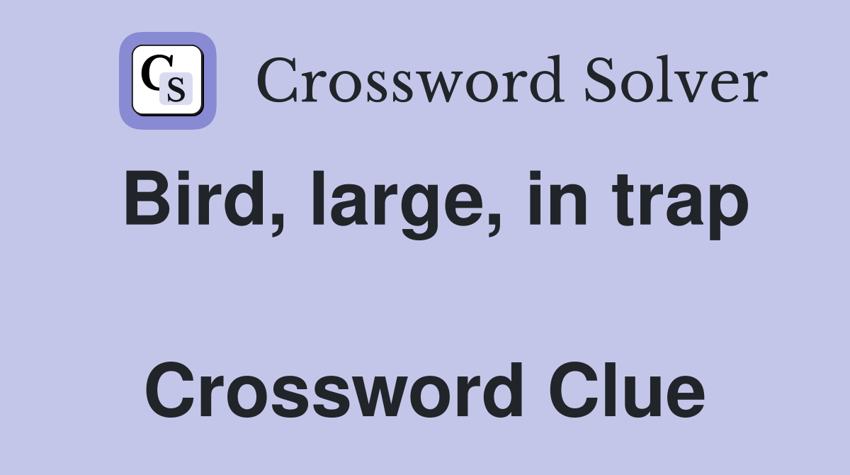Bird, large, in trap  Crossword Clue