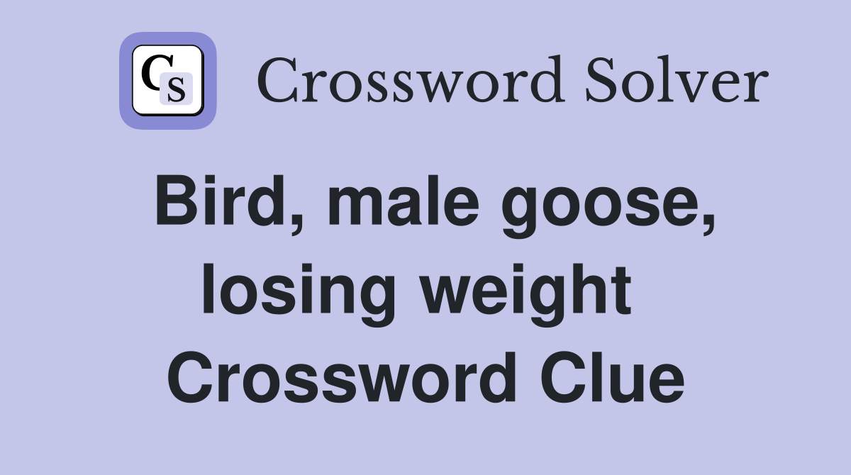 Bird, male goose, losing weight  Crossword Clue