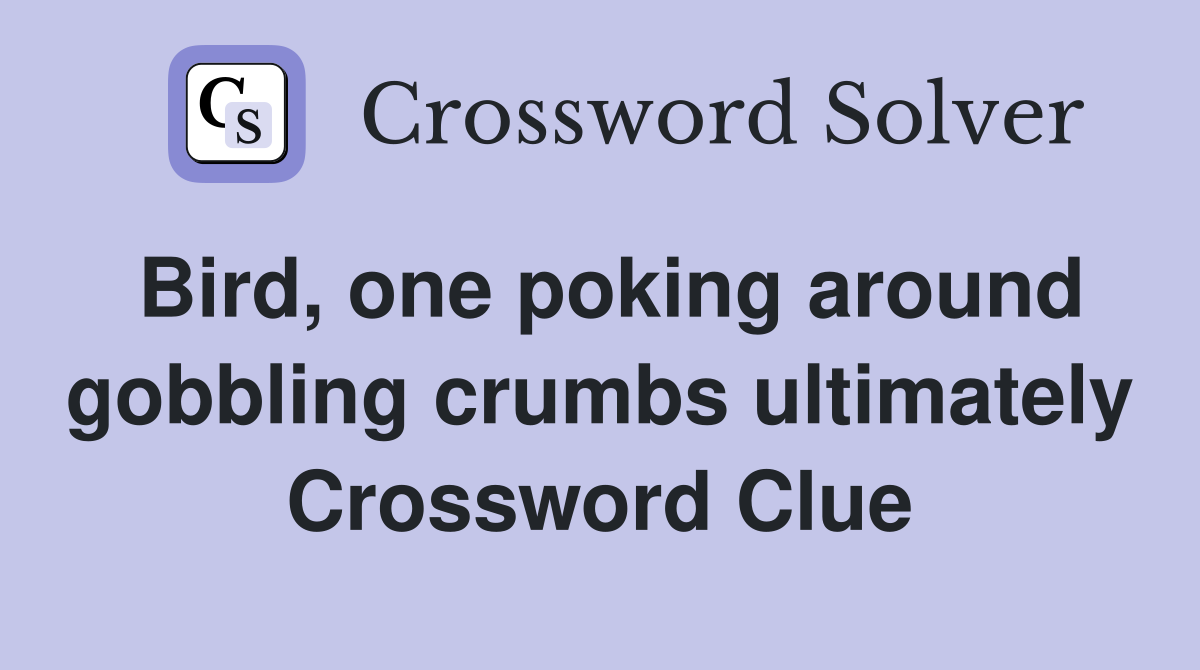 Bird, one poking around gobbling crumbs ultimately Crossword Clue