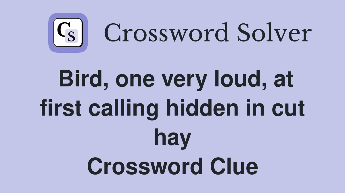 Bird, one very loud, at first calling hidden in cut hay Crossword Clue
