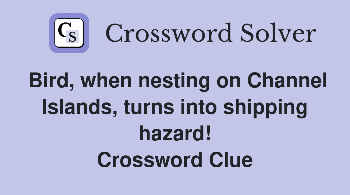 Bird, when nesting on Channel Islands, turns into shipping hazard! Crossword Clue