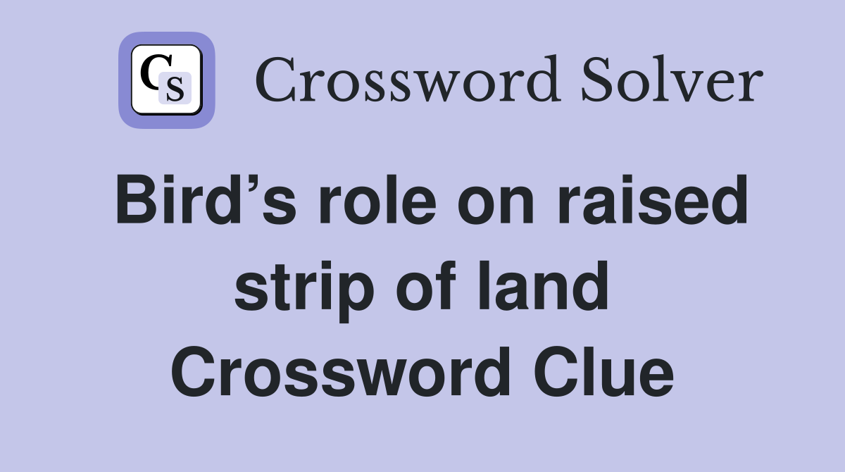 Bird’s role on raised strip of land Crossword Clue