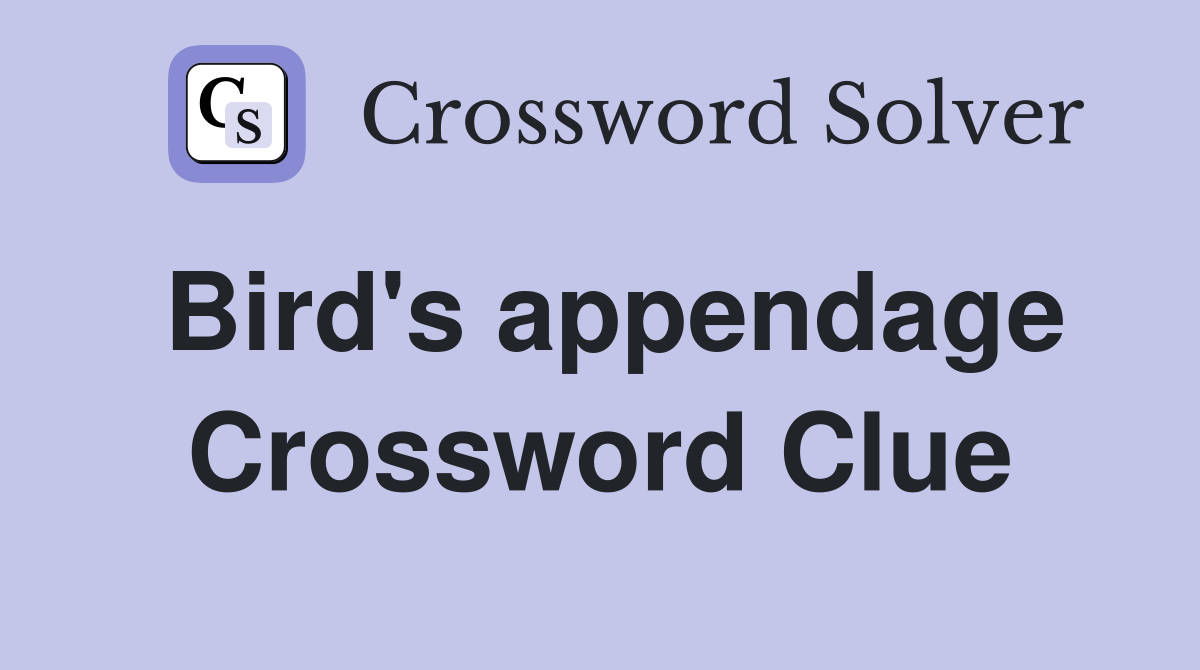 Bird's appendage Crossword Clue