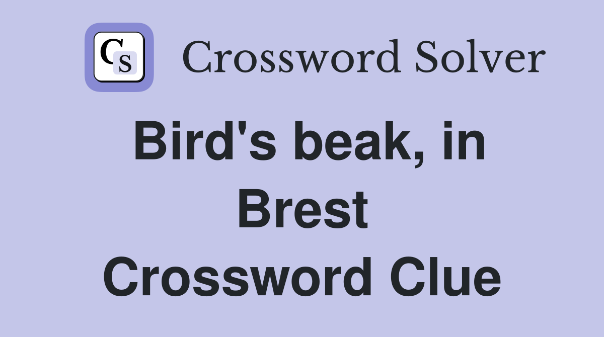 Bird's beak, in Brest Crossword Clue