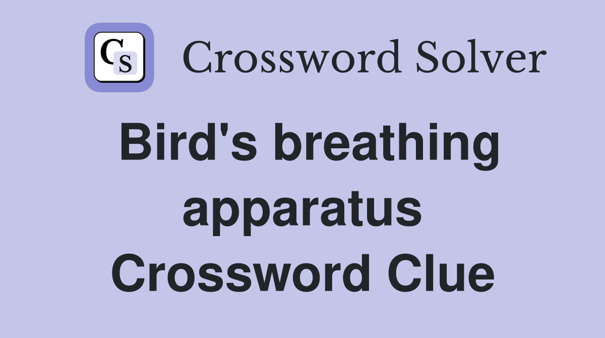 Bird's breathing apparatus Crossword Clue