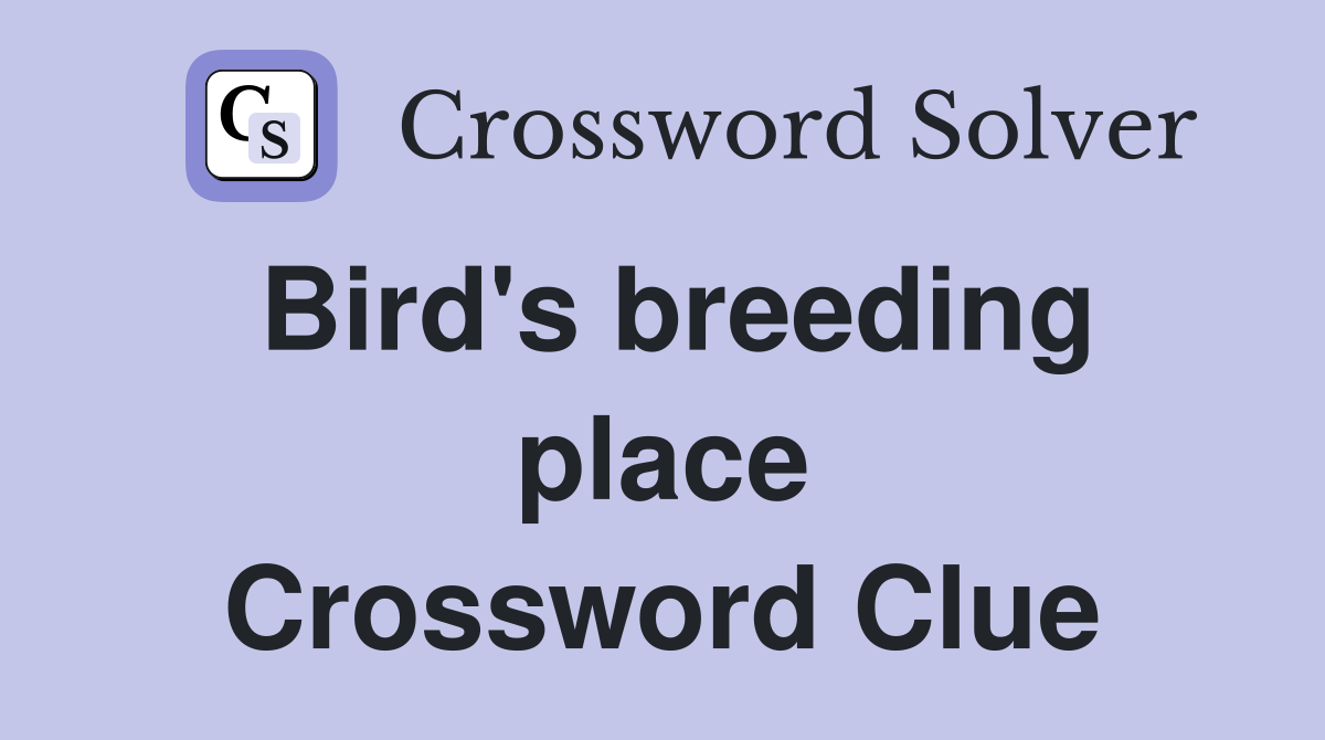 Bird's breeding place Crossword Clue