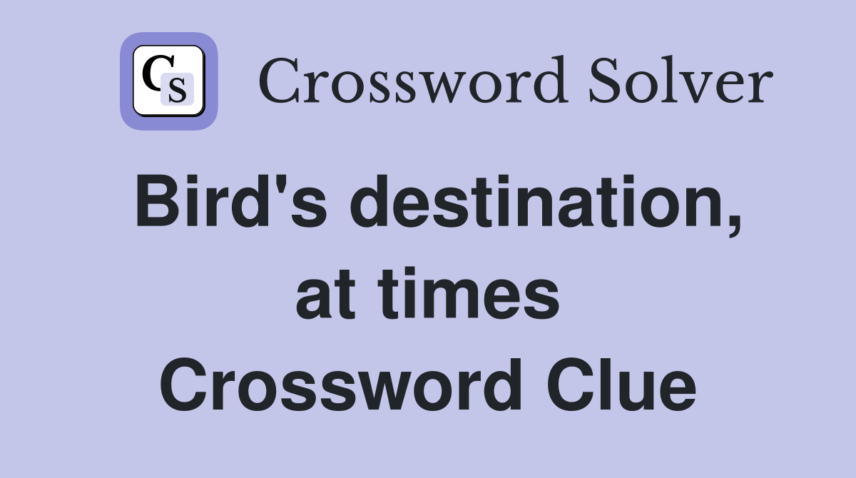 Bird's destination, at times Crossword Clue