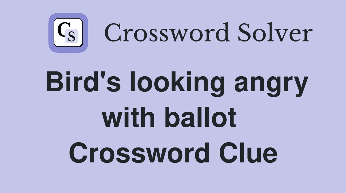 Bird's looking angry with ballot  Crossword Clue