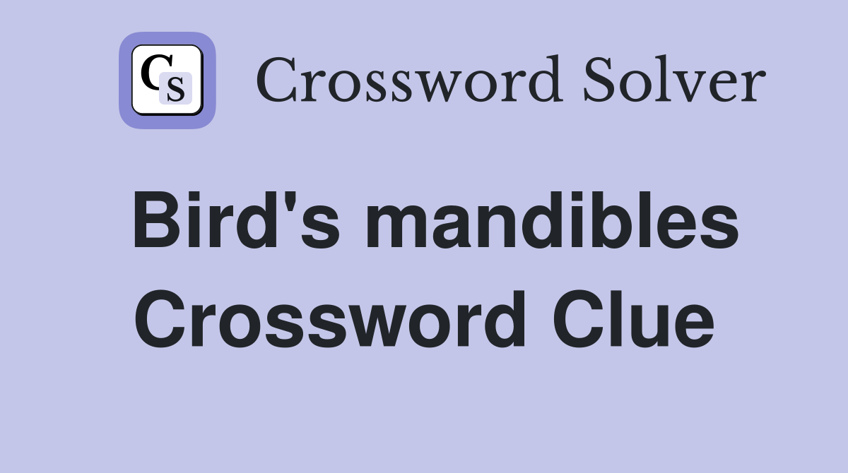 Bird's mandibles Crossword Clue