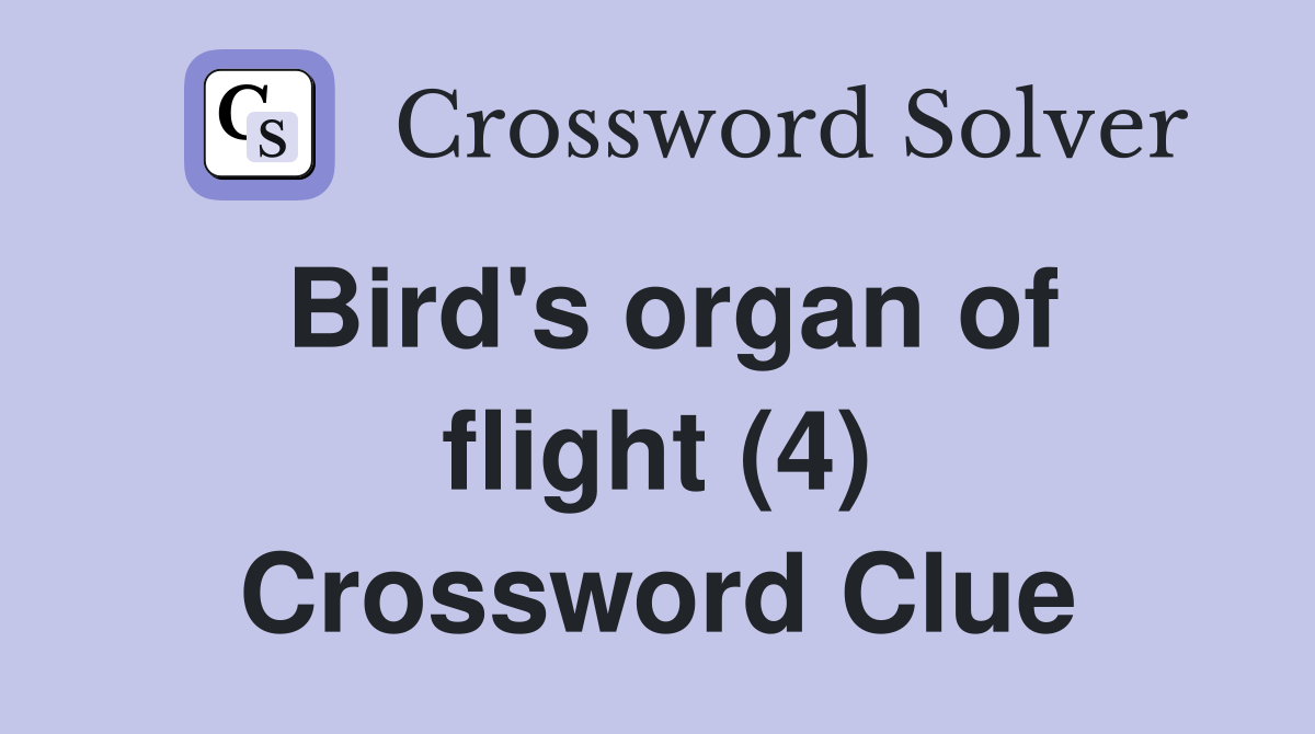 Bird's organ of flight (4) Crossword Clue