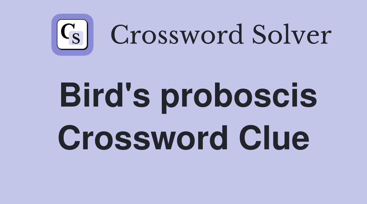 Bird's proboscis Crossword Clue