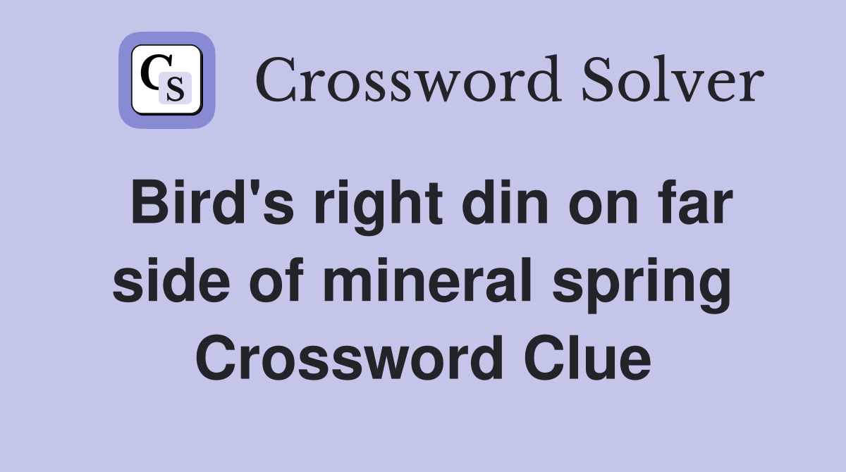 Bird's right din on far side of mineral spring Crossword Clue