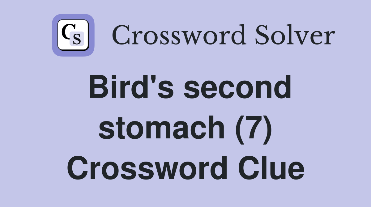 Bird's second stomach (7) Crossword Clue