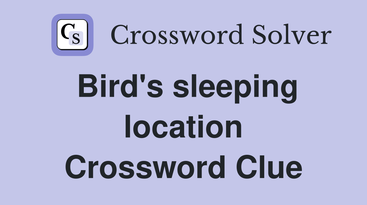 Bird's sleeping location Crossword Clue